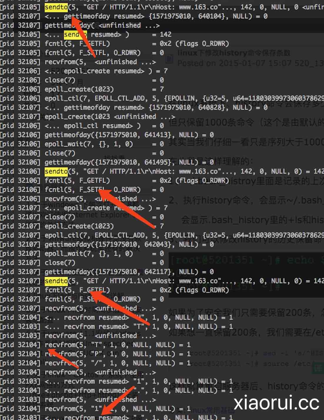 python requests 进程安全 线程安全
