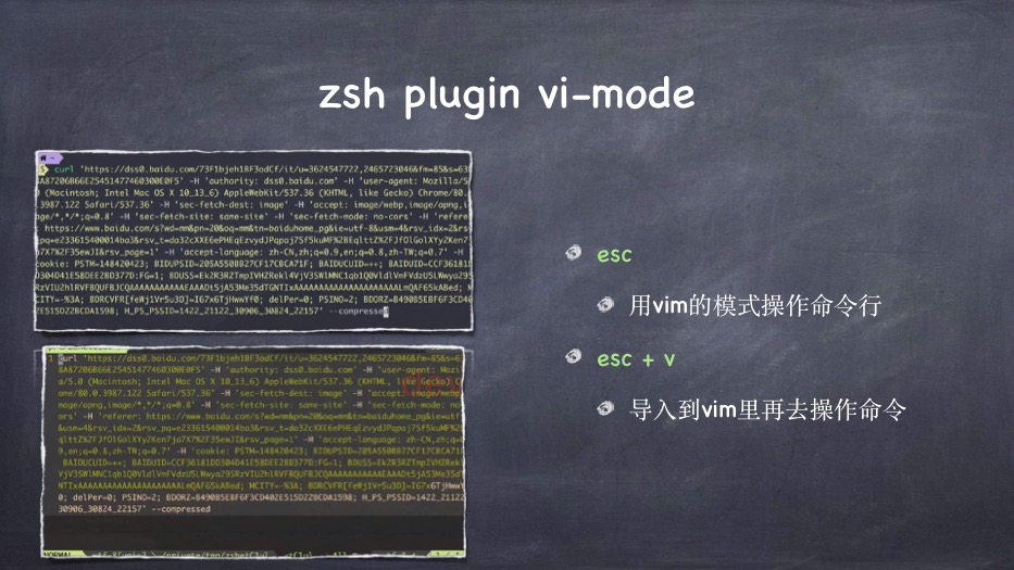 zsh 插件 plugin